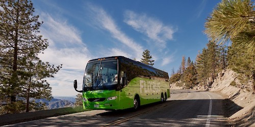 FlixBus passa a ter ligações entre o Algarve e o Terminal de Sete Rios, no centro de Lisboa