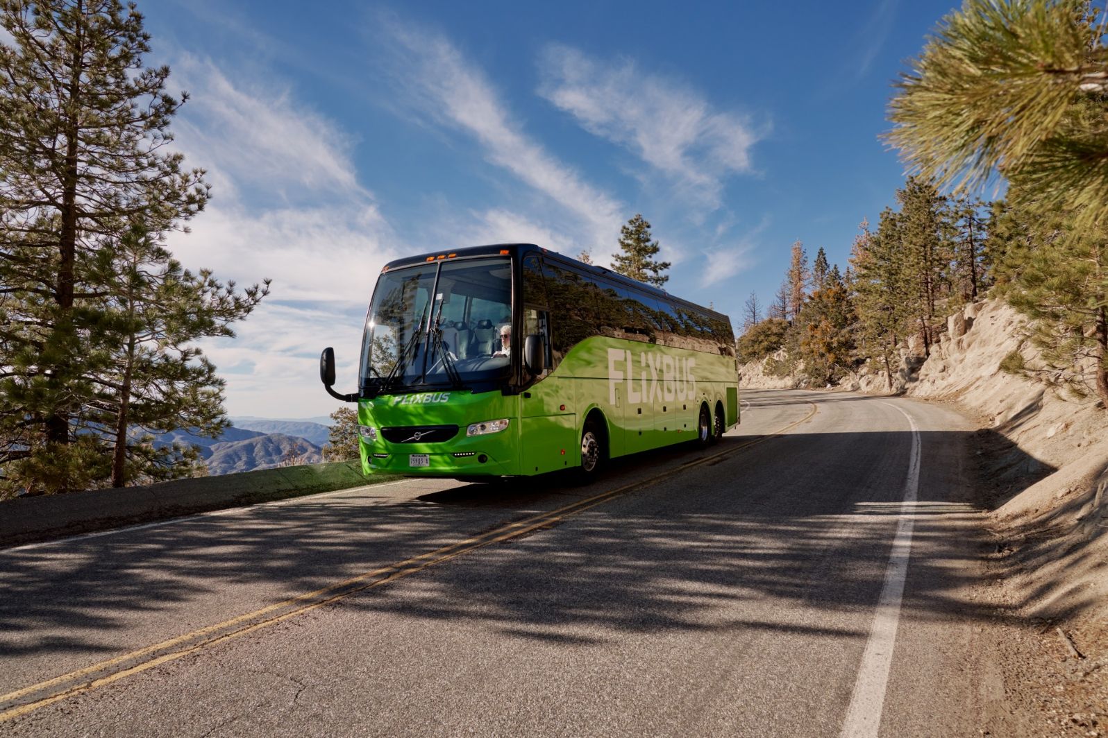 FlixBus passa a ter ligações entre o Algarve e o Terminal de Sete Rios, no centro de Lisboa