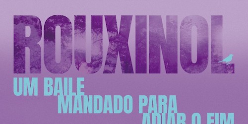 ROUXINOL, um baile mandado para adiar o fim, de Sara Martins