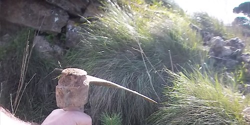 Floresta Amiga: marketing que deixa raízes