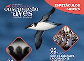 Música e cultura juntam-se à natureza no Festival de Observação de Aves em Sagres
