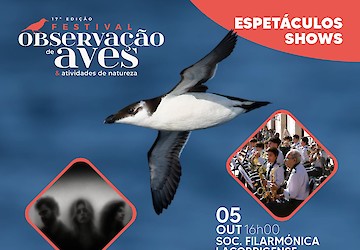 Música e cultura juntam-se à natureza no Festival de Observação de Aves em Sagres