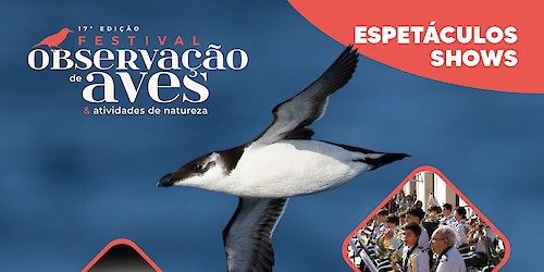 Música e cultura juntam-se à natureza no Festival de Observação de Aves em Sagres