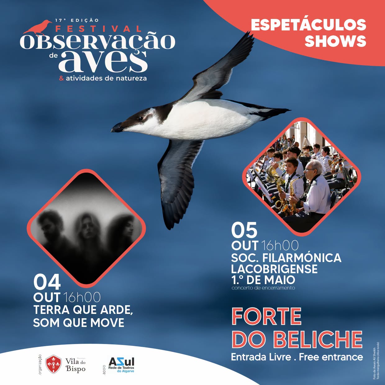 Música e cultura juntam-se à natureza no Festival de Observação de Aves em Sagres