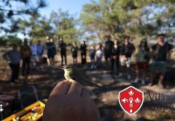 Arranca amanhã em Sagres o maior festival de natureza do país