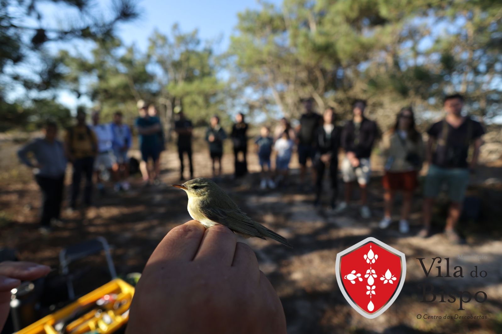 Arranca amanhã em Sagres o maior festival de natureza do país