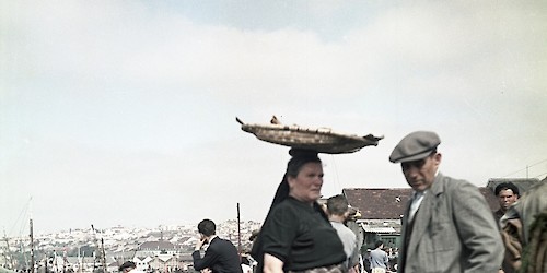 Quando Albert Einstein achou piada às varinas de Lisboa
