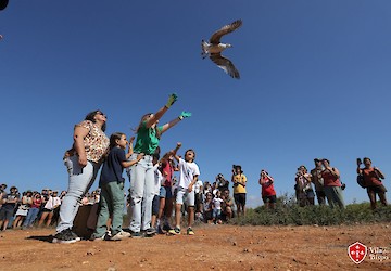 Chegou ao fim o 17º Festival de Observação de Aves & Actividades de Natureza de Sagres voando mais uma vez para o sucesso