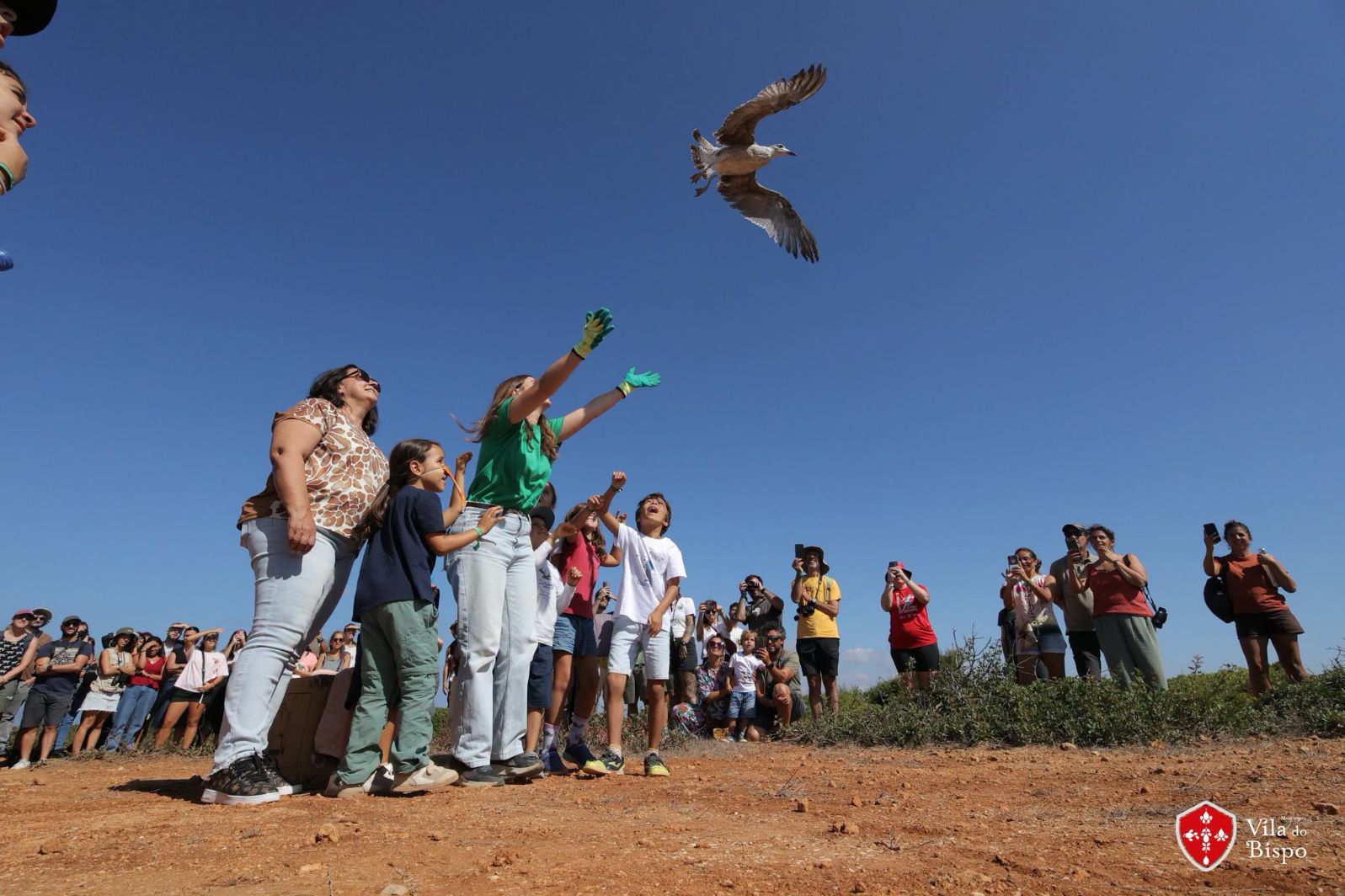 Chegou ao fim o 17º Festival de Observação de Aves & Actividades de Natureza de Sagres voando mais uma vez para o sucesso