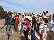 Chegou ao fim o 17º Festival de Observação de Aves & Actividades de Natureza de Sagres voando mais uma vez para o sucesso - 1