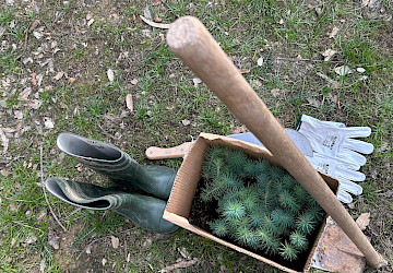Floresta Amiga: “NÃO CERTIFICAMOS, PLANTAMOS”