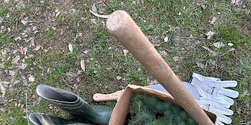Floresta Amiga: “NÃO CERTIFICAMOS, PLANTAMOS”