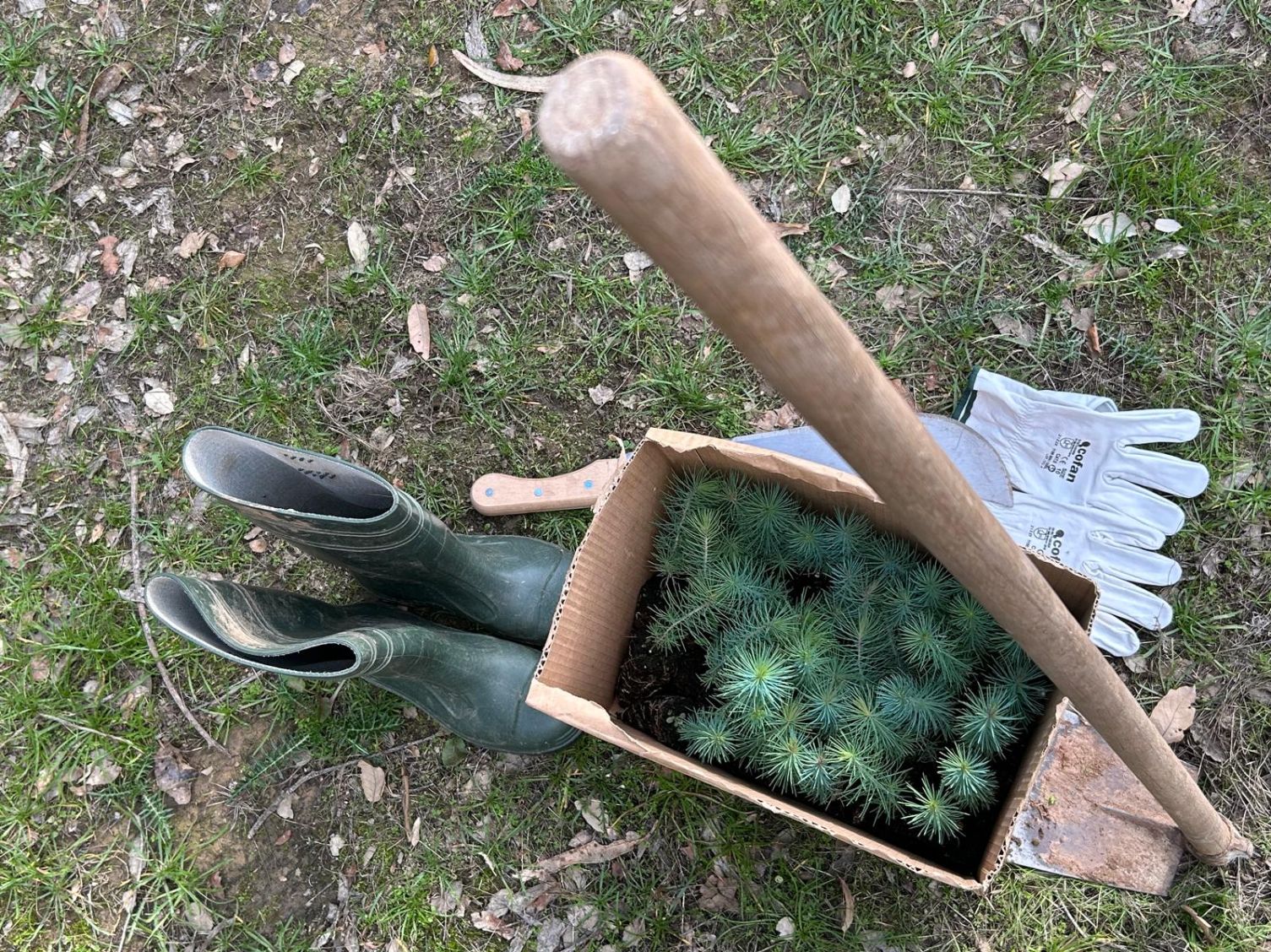 Floresta Amiga: “NÃO CERTIFICAMOS, PLANTAMOS”