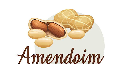 Amendoim em Festa 2026 – O Rogil espera por ti