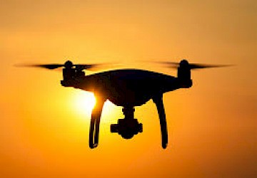 Projecto europeu liderado pela FCTUC recorre a drones e ao Programa Copernicus para detecção remota de pragas florestais