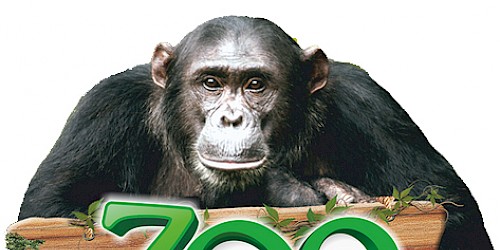 Exposição Fotográfica “Paraíso Selvagem” no Zoo de Lagos