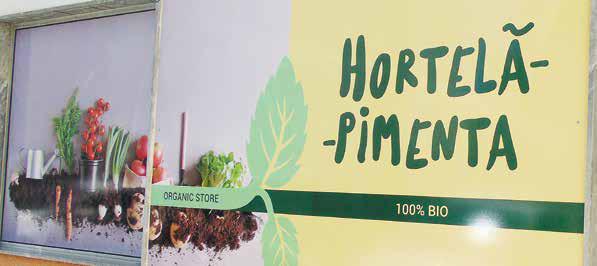Venha visitar a loja  Hortelã-Pimenta