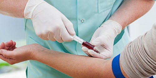 Divulgação: "Não dê Férias à Dádiva de Sangue no Algarve"