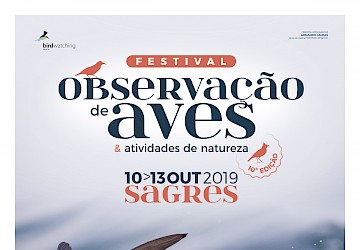 Festival de Observação de Aves em Sagres: inscrições abrem já amanhã!