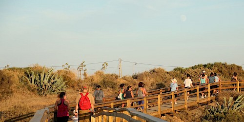 Lagos “caminha connosco” na Semana Europeia da Mobilidade