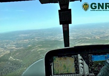 Patrulha Aérea detecta corte ilegal de árvores em Espaço Florestal