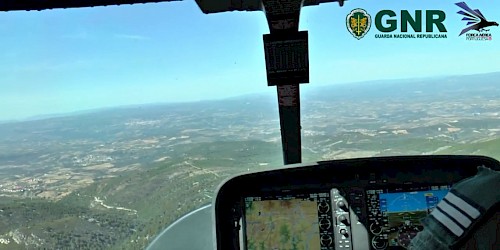 Patrulha Aérea detecta corte ilegal de árvores em Espaço Florestal