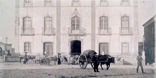 Sessão Extraordinária da Assembleia Municipal de Lagos