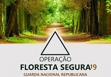 Ponto de situação da Operação Floresta Segura 2019