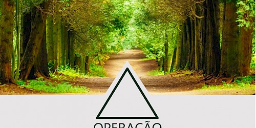 Ponto de situação da Operação Floresta Segura 2019