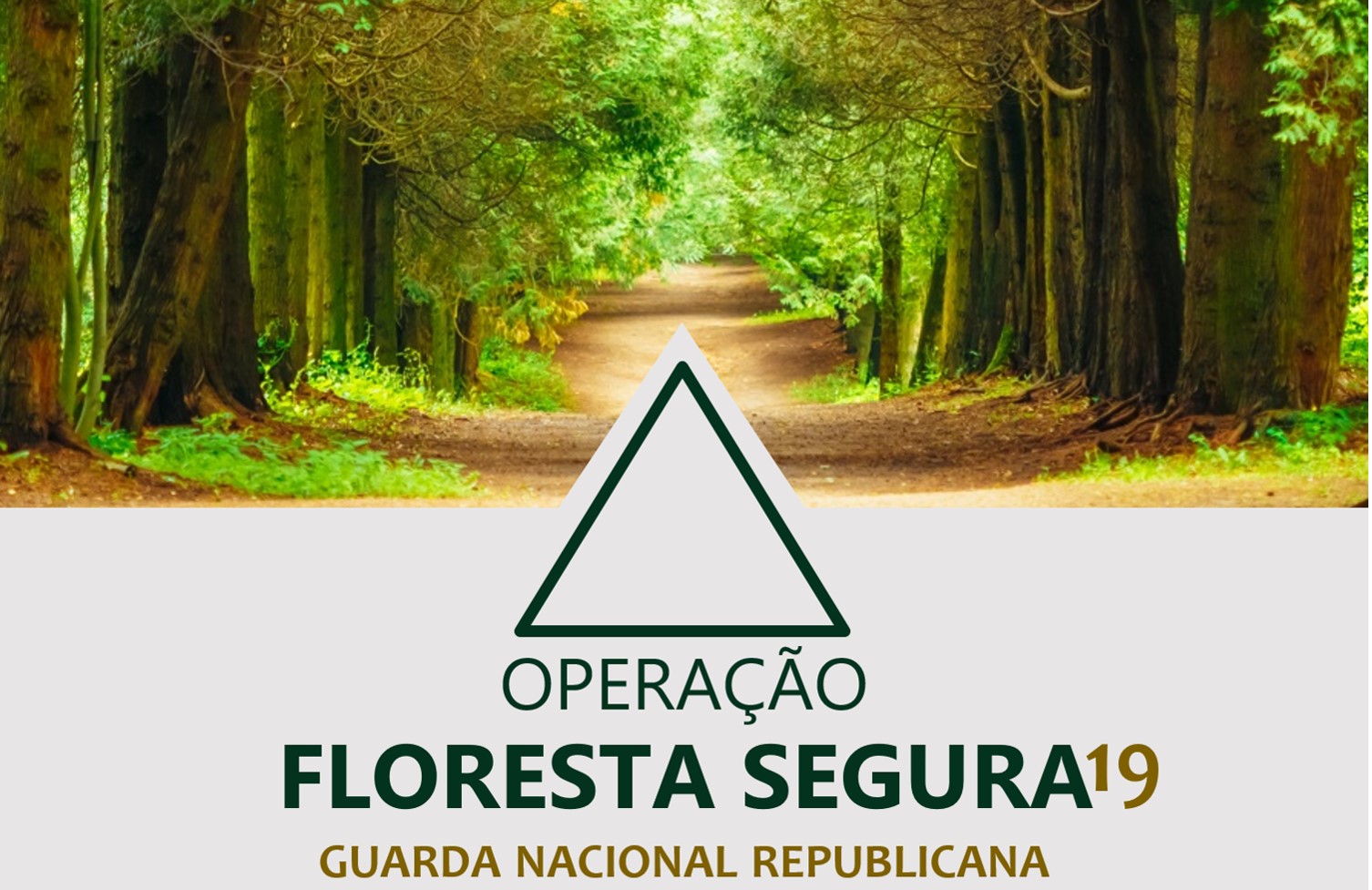 Ponto de situação da Operação Floresta Segura 2019