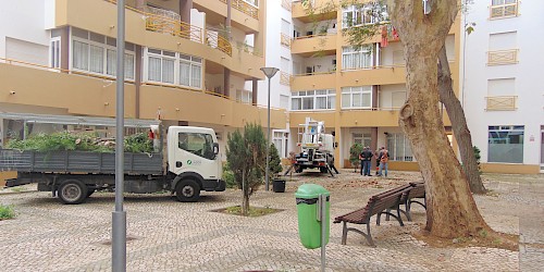 Equipa da Câmara Municipal de Lagos já fez intervenção no jardim da Marina Sol