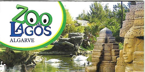 O Zoo de Lagos celebra o Dia do Município!