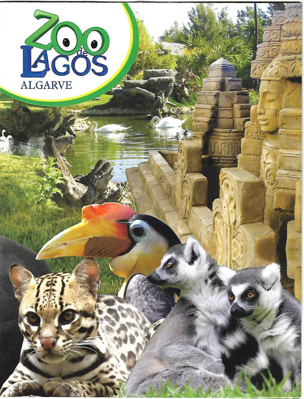 O Zoo de Lagos celebra o Dia do Município!