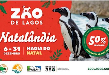 Natalândia no Zoo de Lagos
