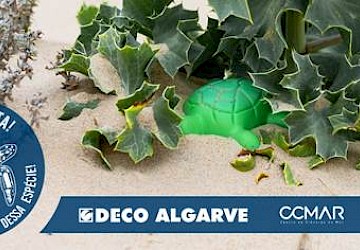 Comer Bem Sem Olhar a Quem: DECO Algarve promove formação sobre alimentação, em colaboração com a Academia Sénior de Tavira