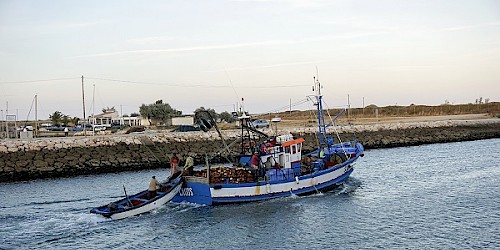 Pela sustentabilidade da pesca de cerco