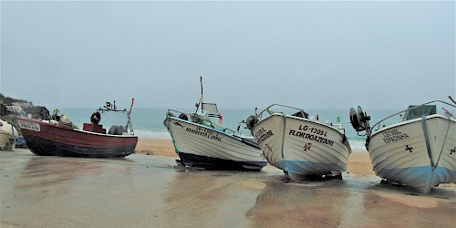 Junta de Freguesia de Budens espera até final de Março decisão sobre novo projecto de aquacultura