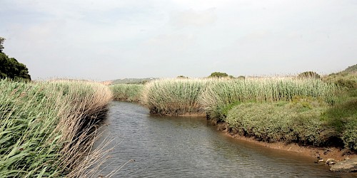 Plano de Pormenor confirma o interesse ambiental e paisagístico do Paul de Lagos