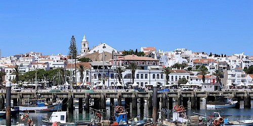 Degradação do porto de pesca de Lagos suscita protesto do município