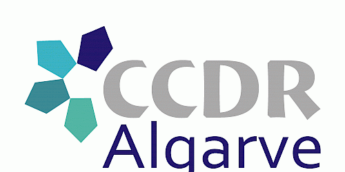 Conselho de coordenação intersectorial da CCDR algarve faz ponto de situação sobre pandemia COVID-19