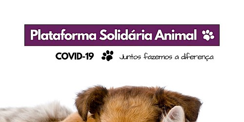 Animalife lança Plataforma Solidária Animal