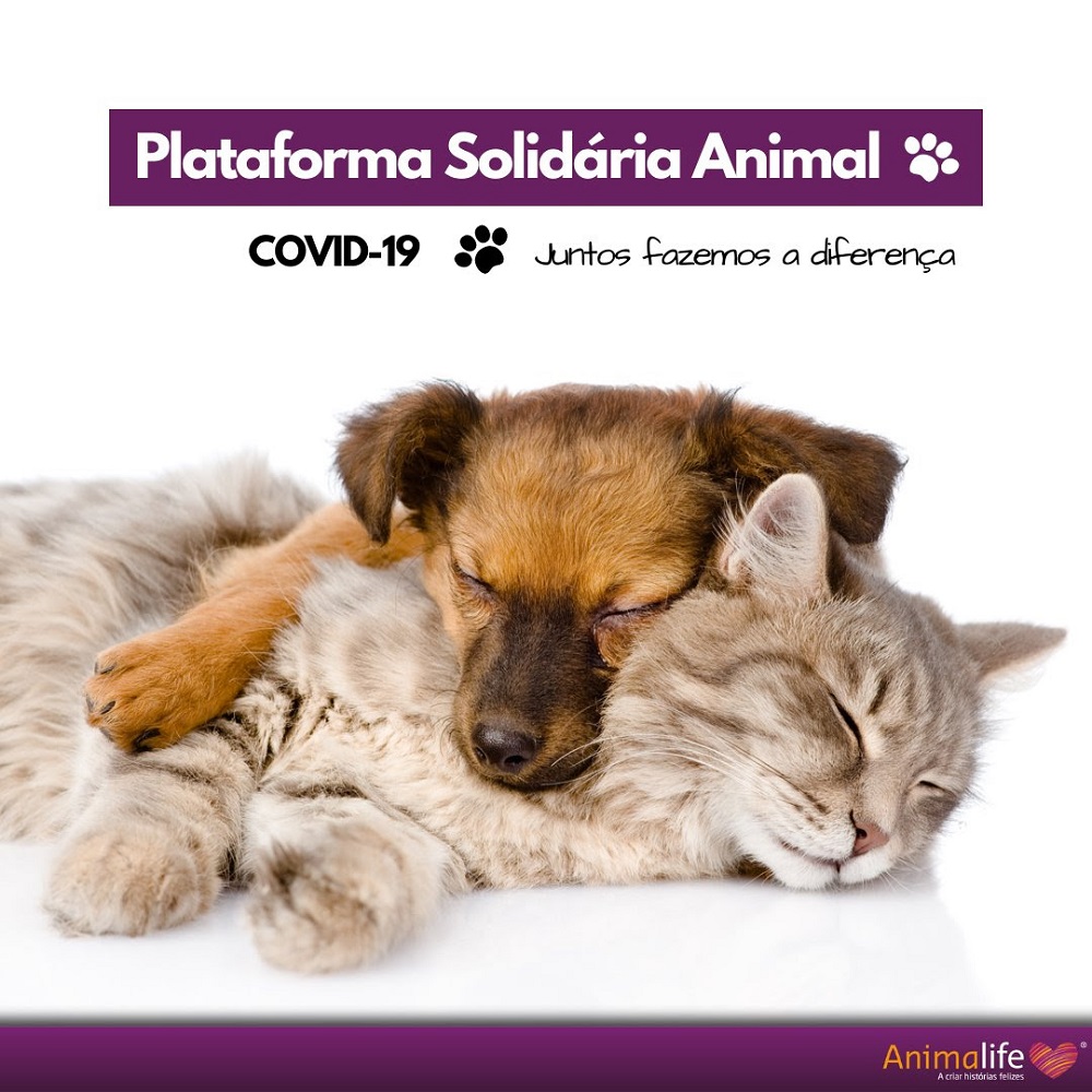 Animalife lança Plataforma Solidária Animal