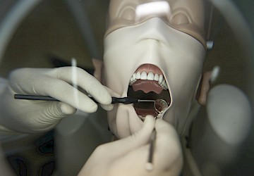 Centro de Investigação da UC cria grupo de trabalho dedicado à Medicina Dentária no período pós-pandemia