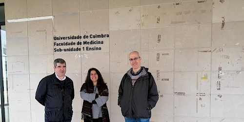 Estudo indica que doença cardiovascular é a comorbilidade que acarreta maior risco de mortalidade por COVID-19