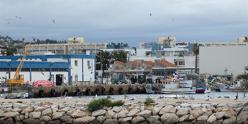 Lagos - Pesca e Pescadores Crónica de uma morte (lenta) anunciada