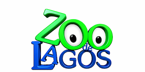 Zoo de Lagos vai receber uma nova espécie de Canguru