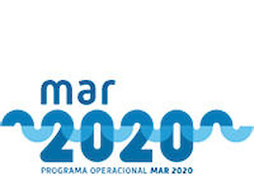 Mar 2020 disponibiliza 1,5 milhões de euros para melhoria da eficiência energética às empresas de transformação dos Produtos da Pesca e da Aquicultura