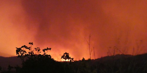 PCP diz que “Primeiro grande incêndio do ano (Aljezur) alerta para a necessidade de outra política para a floresta e o mundo rural”