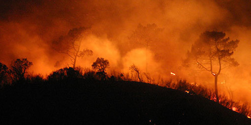 Agricultores afectados pelo incêndio de Aljezur já podem comunicar os prejuízos agrícolas