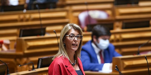 Deputada Célia Paz defende pesca local e costeira